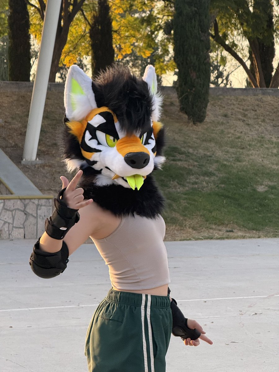 ✖️stripedwolf!🏝️✖️ tweet media