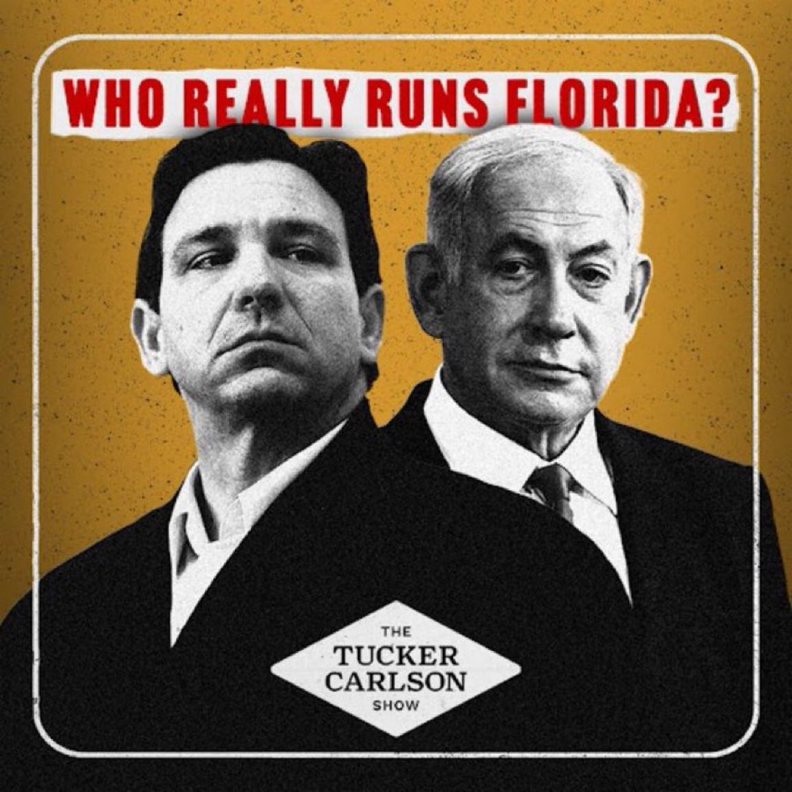 Seth Dillon tweet media