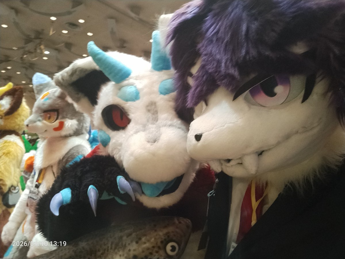 Cerasus_35K's tweet image. 集合写真待機なう！