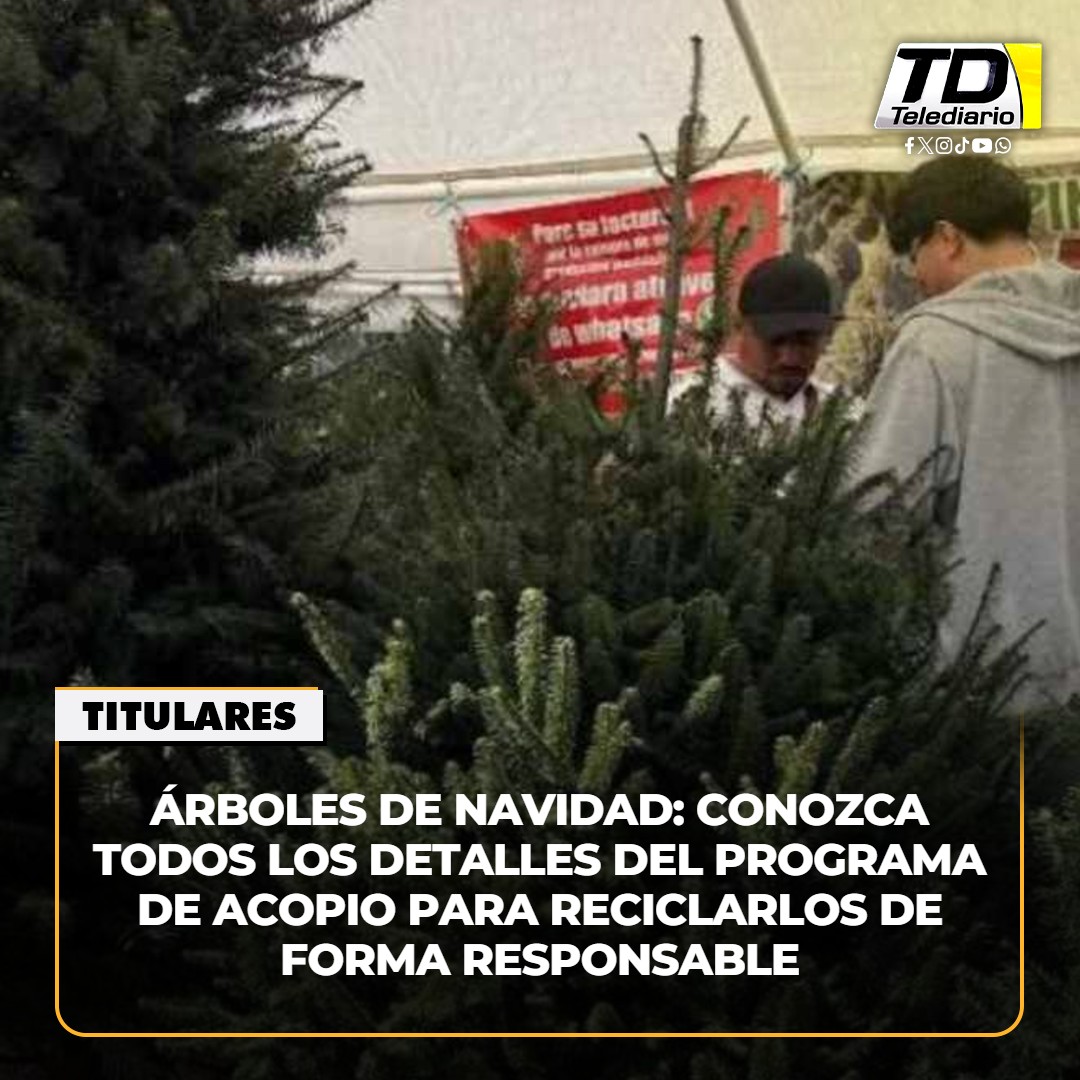 TelediarioGT's tweet image. 🌲 #Árboles de #Navidad: Conozca el #ProgramaDeAcopio para reciclarlos de forma responsable ➡️ bit.ly/3N5EpaP