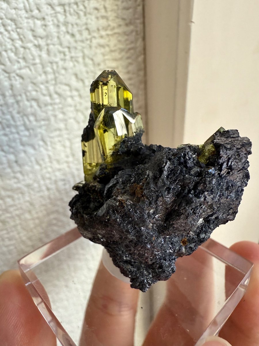 Crank_TOM's tweet photo. モロッコ産 アングレサイト

バランスなど惜しいポイントが多い標本ですが、ガレナの母岩から生えた美しいイエローの結晶が最高ですね！ https://t.co/sjZiXmeCqZ