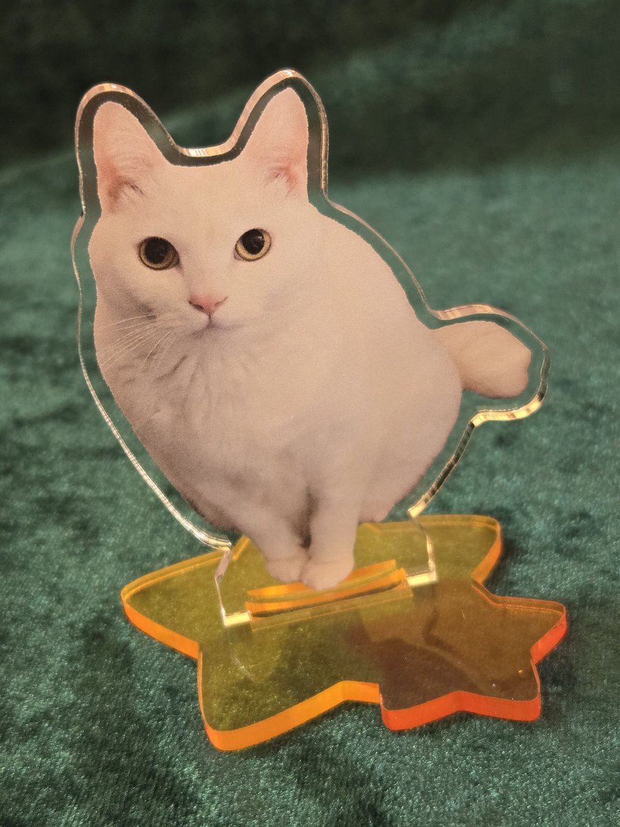 Post by 加藤みきこ🐴馬の水彩画家 on X: てんちょー♥