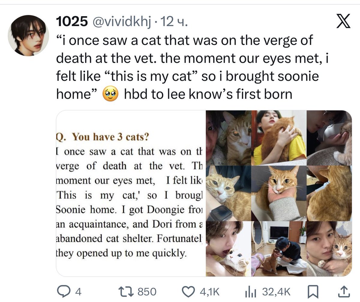 🐱 tweet media
