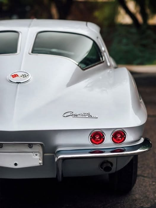 Connie 🇺🇸 tweet media