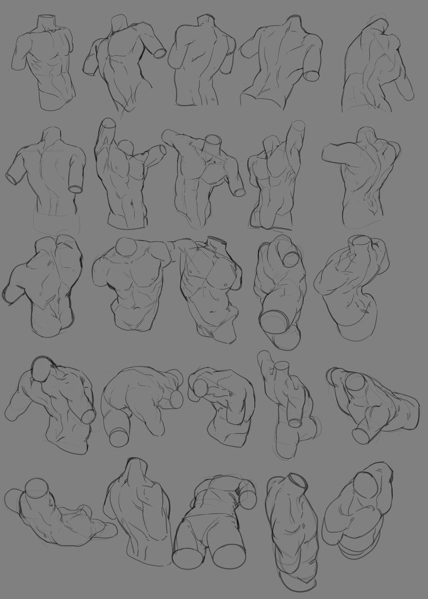 33일차 
토르소를 정복하자