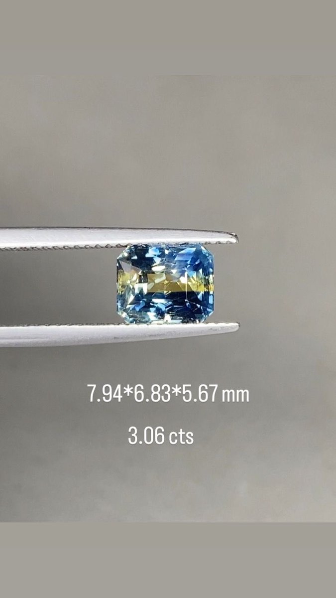 【Masa Gems日本支部】Mame tweet media