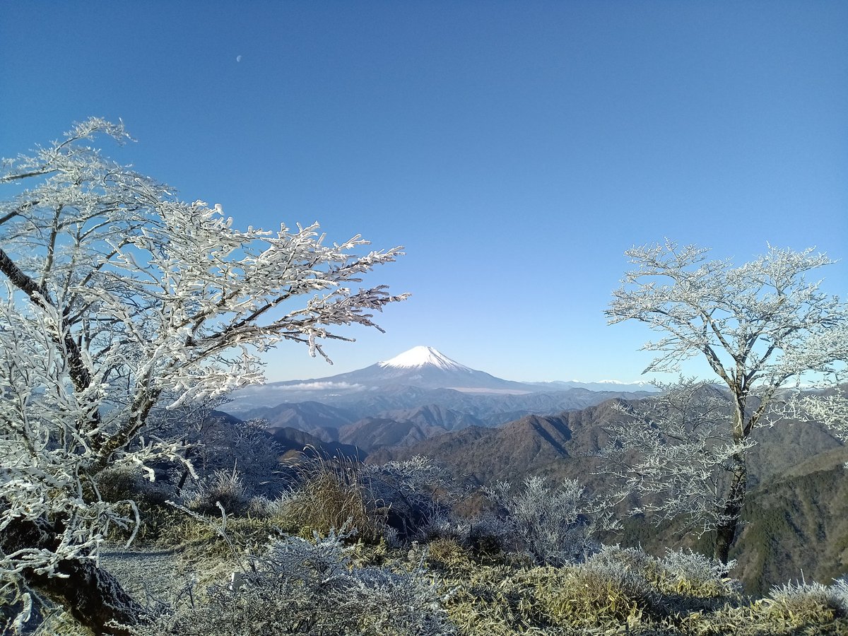 Senba_39's tweet image. 2週連続の丹沢山。
霧氷がとても綺麗でした。
ビーナスベルトって3枚目みたいな空かと思ってたけど勘違いしてた。真逆なのね。
いつか山頂で日の出を迎えて見てみたい。