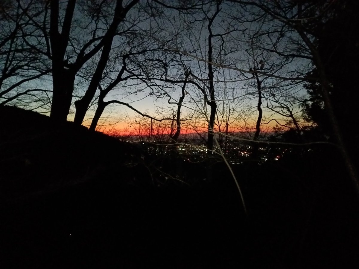 Senba_39's tweet image. 2週連続の丹沢山。
霧氷がとても綺麗でした。
ビーナスベルトって3枚目みたいな空かと思ってたけど勘違いしてた。真逆なのね。
いつか山頂で日の出を迎えて見てみたい。