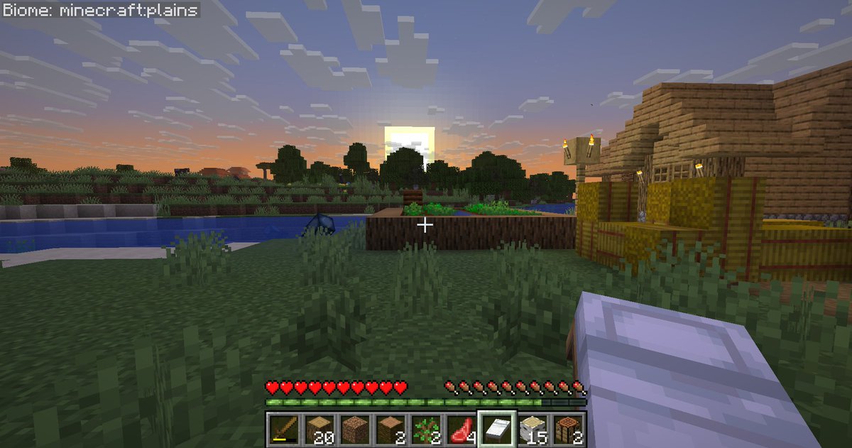 riann_pece's tweet photo. クリエイティブばかりでサバイバルモードの操作がよくわからないためとりあえずやってみようと思い、まずは敵対が出ないピースフルで練習中(*'▽')
村を見つけて移動してたら近いところにもう一つ村が（笑）
#マイクラ 
＃マインクラフト https://t.co/gISEEouSrz