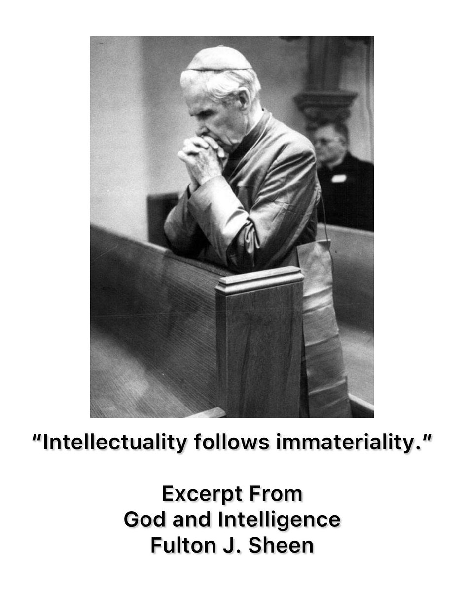 Methuselah_BCE's tweet photo. #Intellectual #INFJ #Philosophy #Incorruption #Immortality https://t.co/c5NTpl8kBj