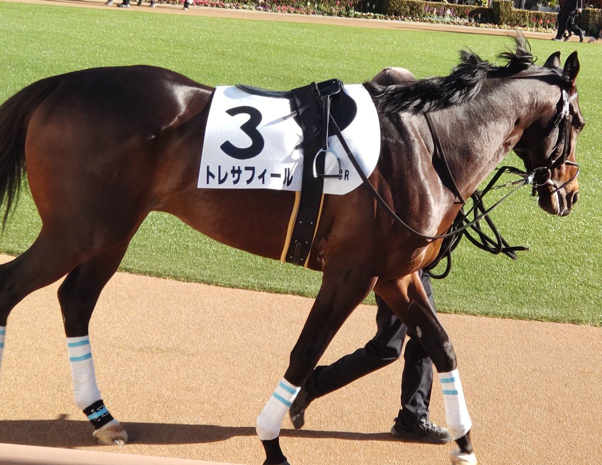 トレサフィール
٩(๑•  -๑)۶☆ｶﾞﾝﾊﾞｯﾃﾈ☆