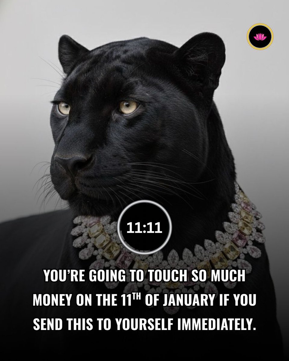 selfhealingpage's tweet image. 🚨 TOUCH THE WEALTH!