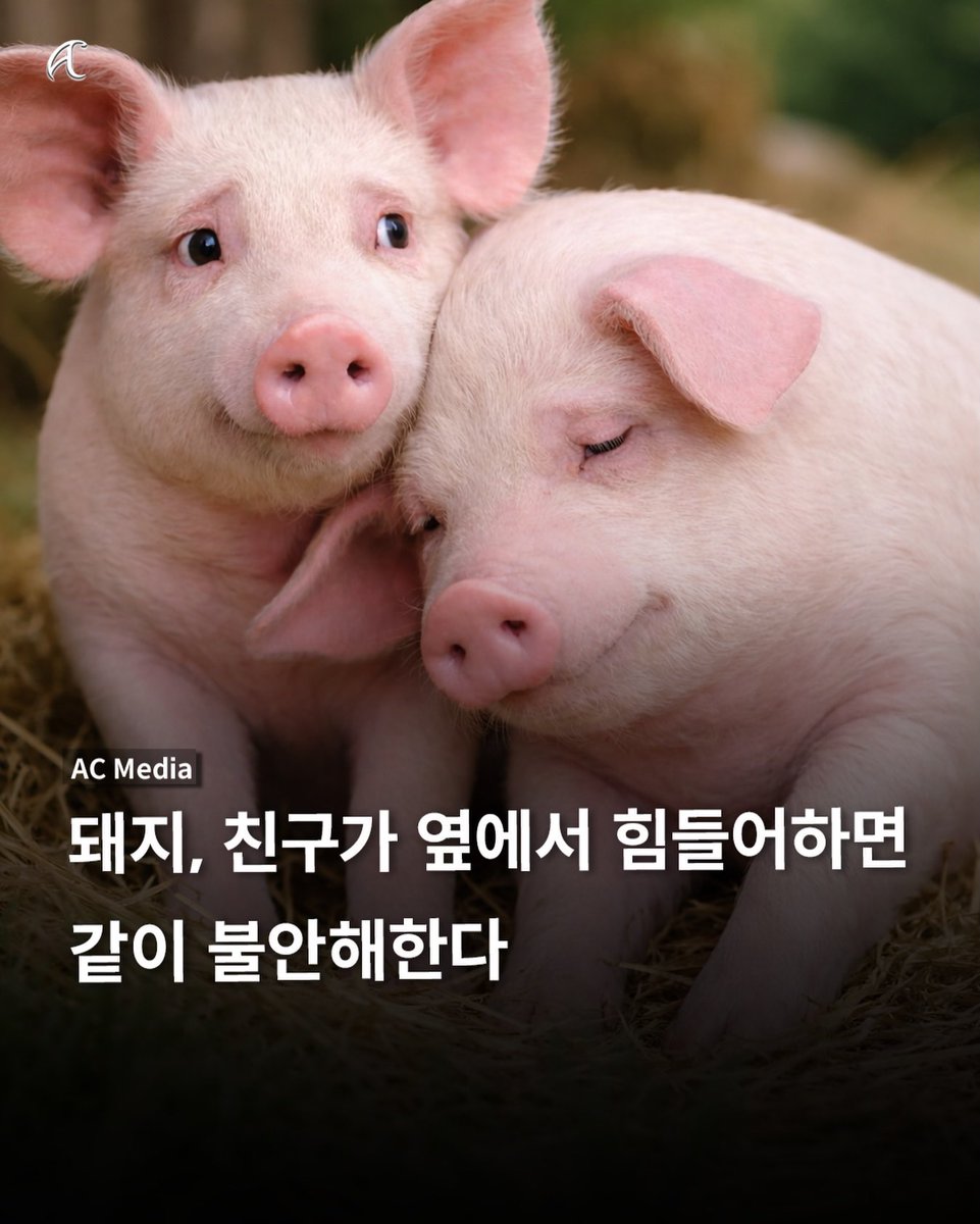 트친들 힘들지마요 저 불안합니다🥹
