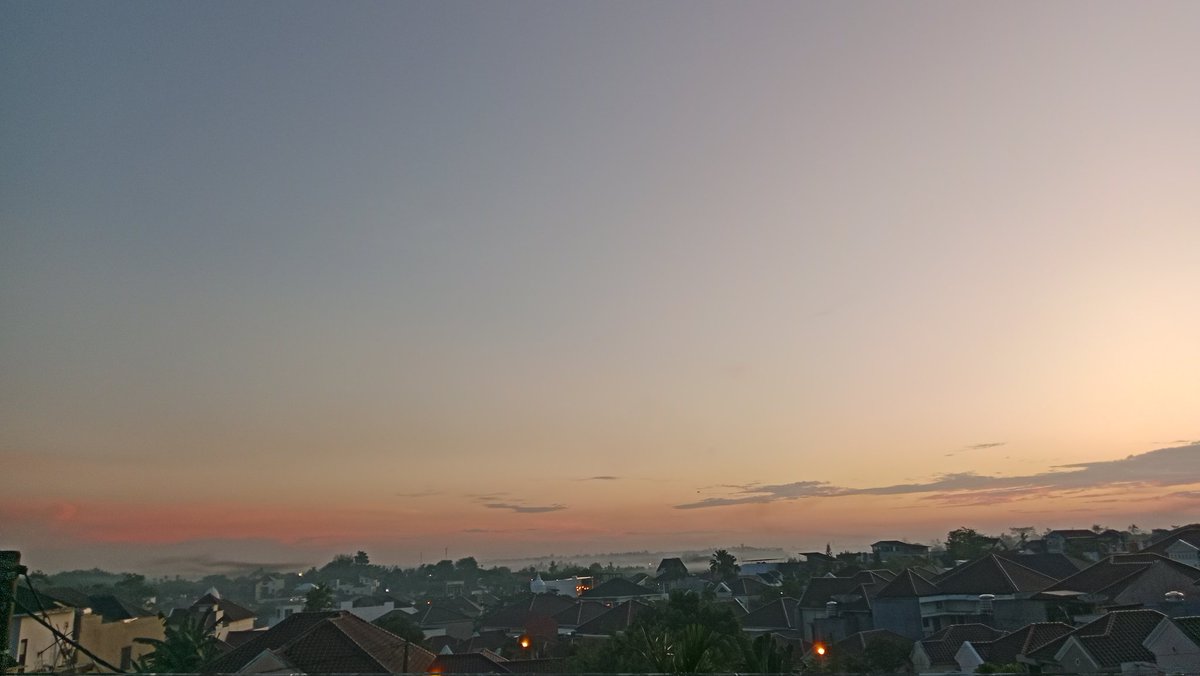 delllllll🩵 tweet media