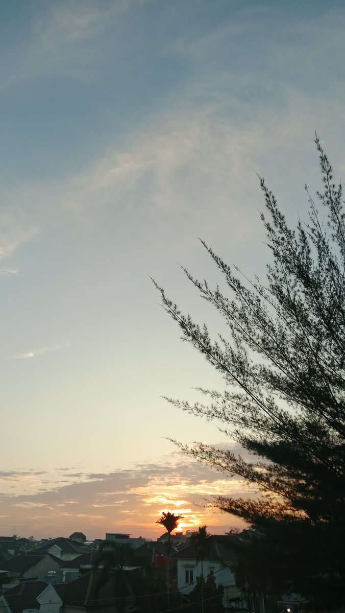 delllllll🩵 tweet media