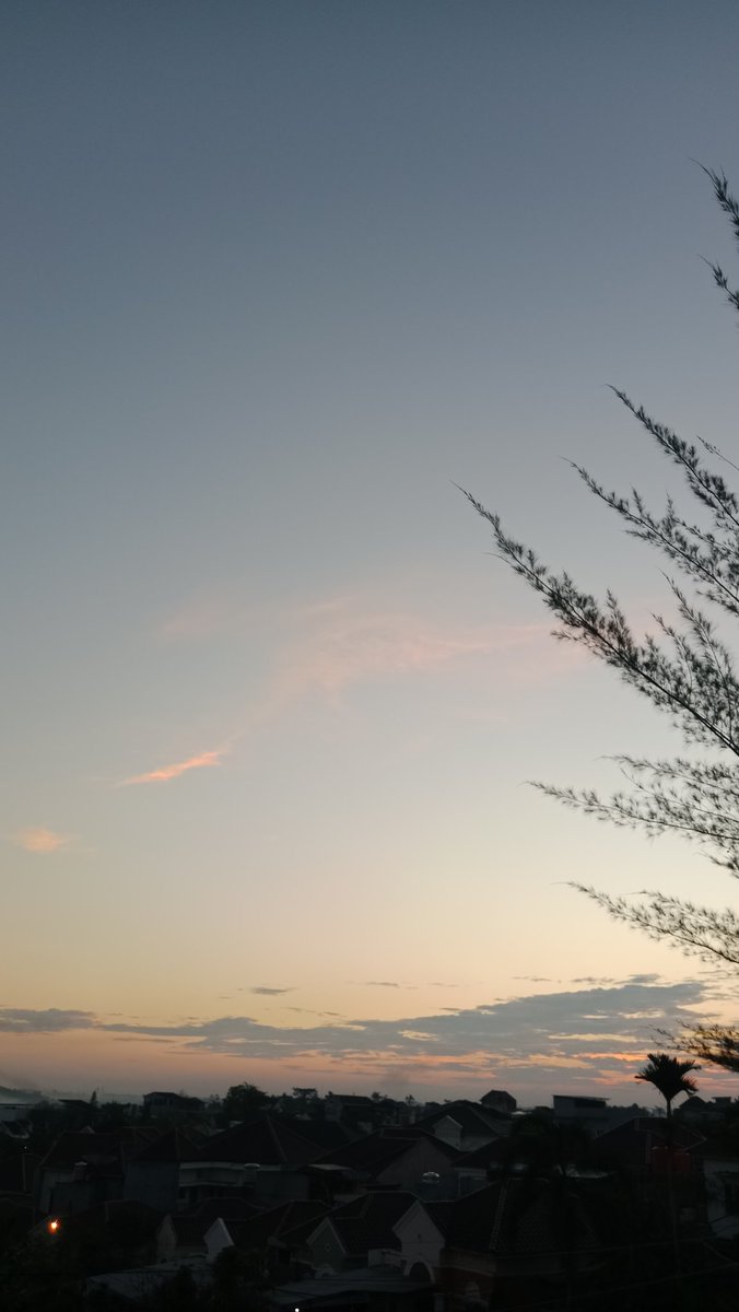 delllllll🩵 tweet media