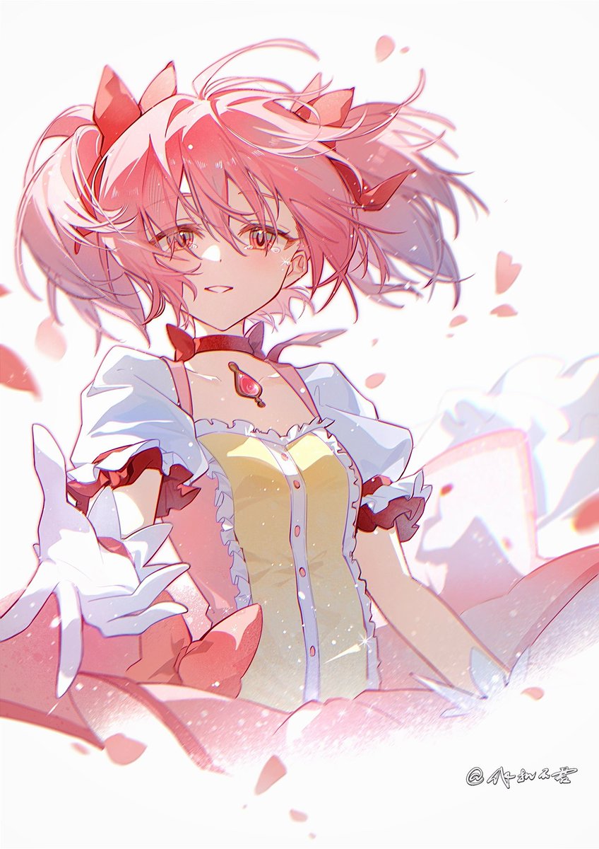 飞机云君 tweet media