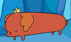 CritterDay's tweet photo. Today's Cute Critter of the Day is Hot Dog Princess from Adventure Time!! https://t.co/BkUFQ2YLSj