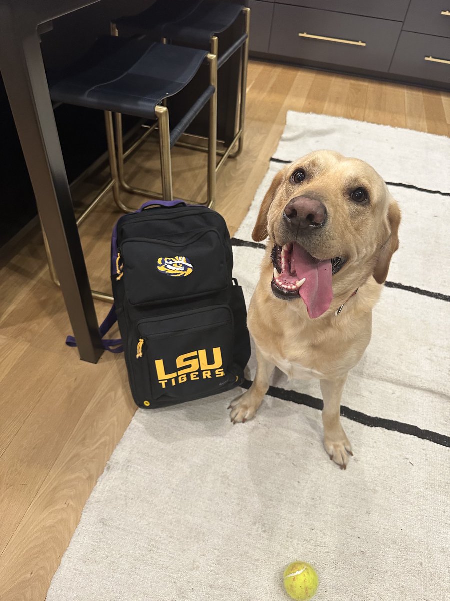 So happy when cookie and Knox comes home from school!!! ⁦<a href="/JuiceKiffin/">Juice Kiffin</a>⁩   Please follow me tiger fans ⁦<a href="/LSUfootball/">LSU Football</a>⁩