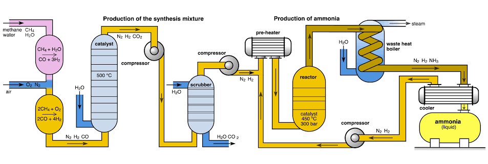 IterIntellectus's tweet image. the Haber-Bosh process and its not even close
it has saved ~4 billion people