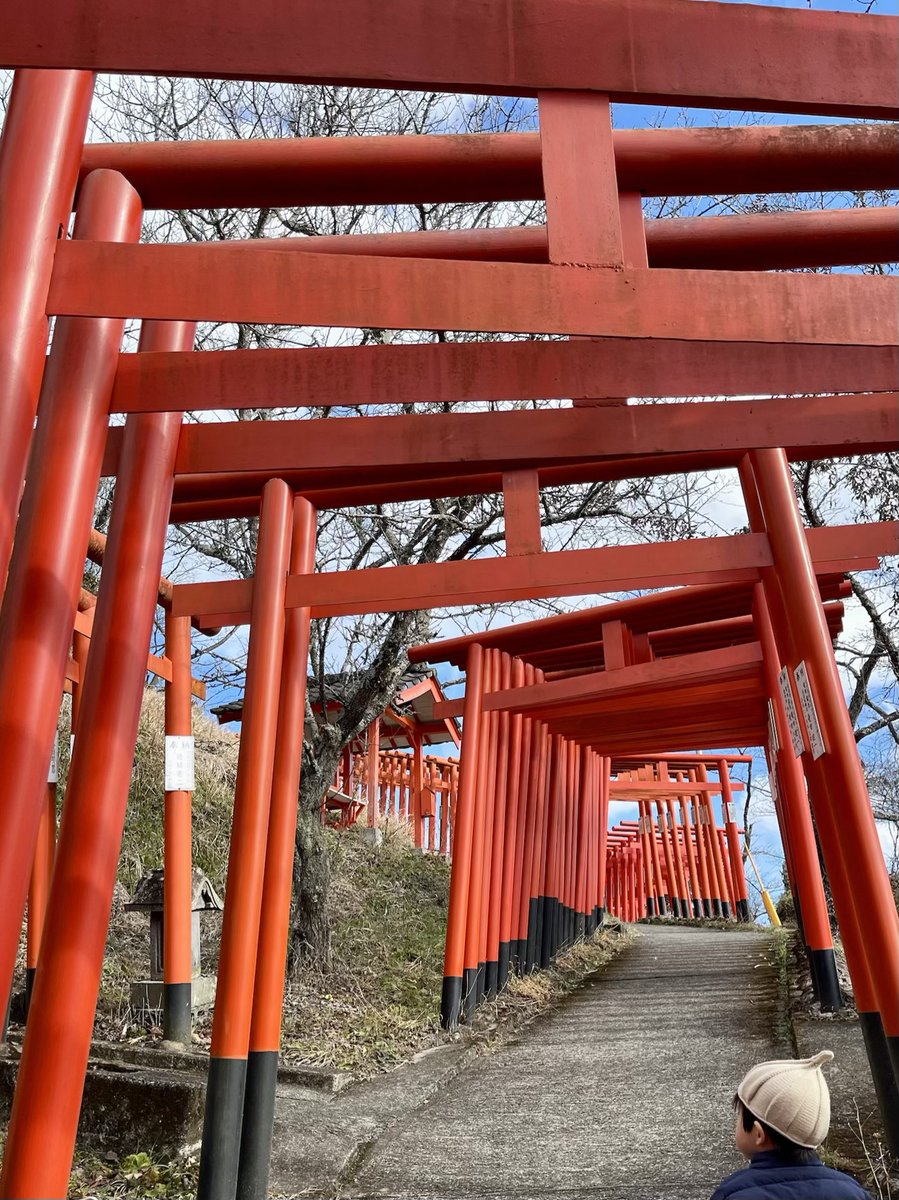 お山の上まで行ってきました⛩️
快晴いい日。