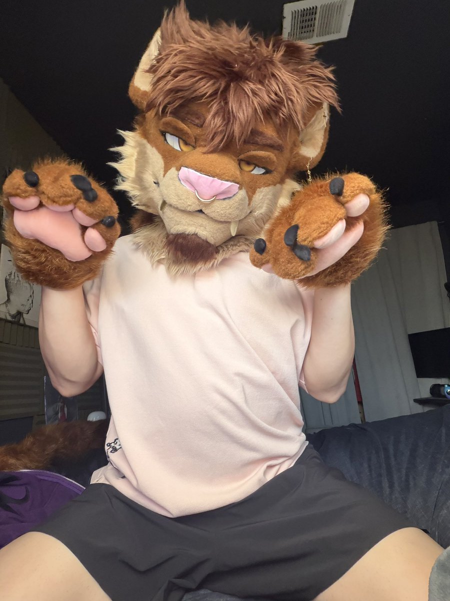 Lavi 🔜 FC tweet media