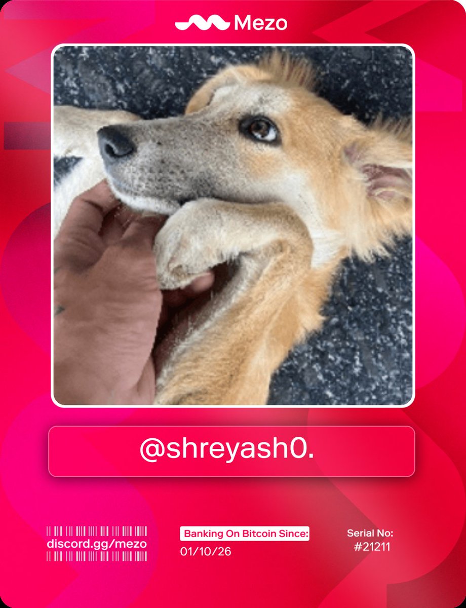 (✸,✸)base.eth🦭/acc.ink⛺π² (❖,❖) tweet media