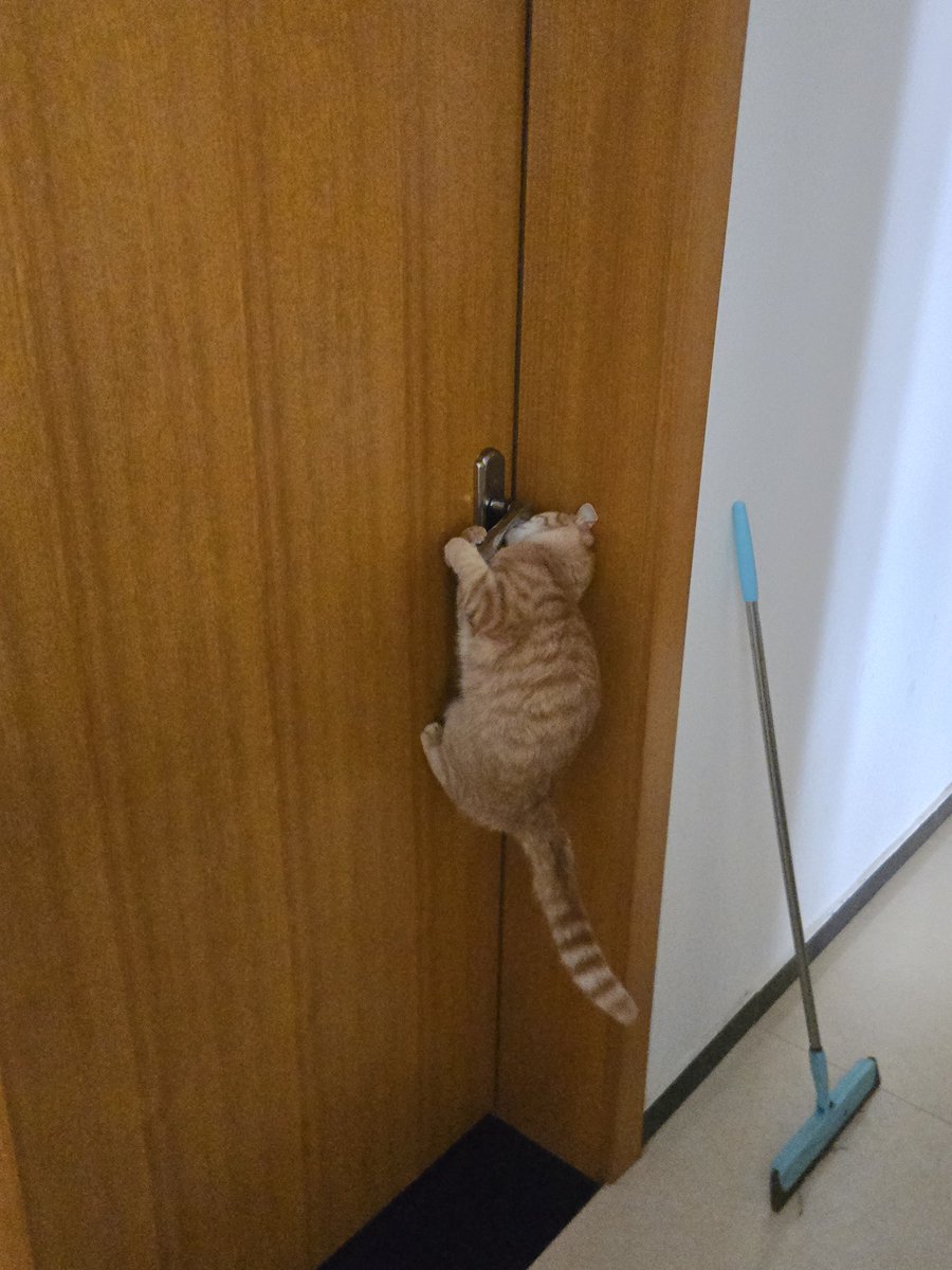 doorkicker