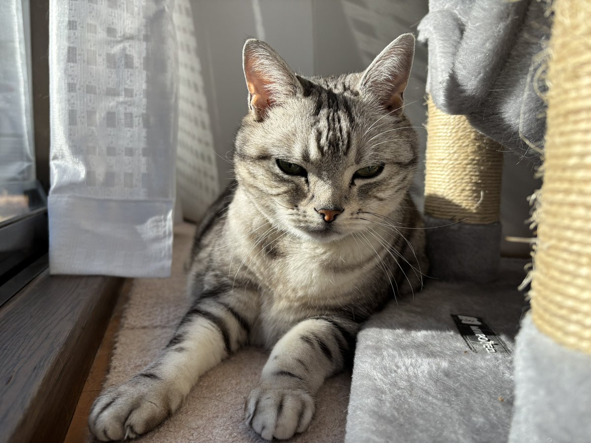 みふゆ(三冬) (@mifuyu_916) / Posts / X