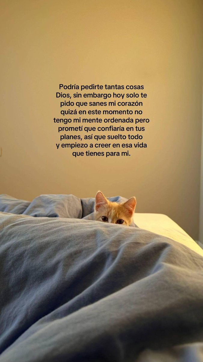 BANDIDOS (@bandidosfrasess) on Twitter photo 