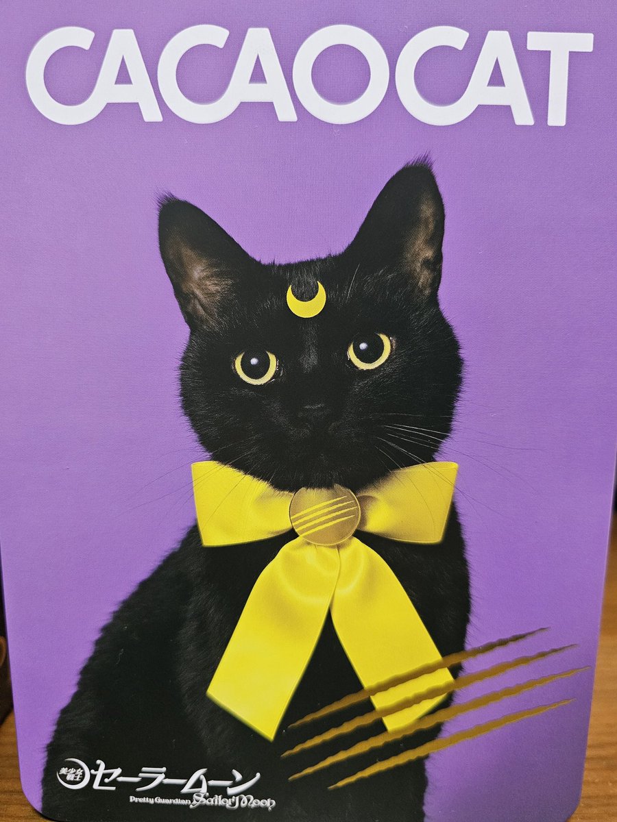 shizuki2koeyume's tweet photo. セーラームーンとChocolate🤍
好きが渋滞してポチっとなしてました。
猫ちゃんのところルナになってるのとか素敵過ぎません？🌙
食べておかげで元気も取り戻しました💪
#chocolate #COCOACAT #セーラームーンコラボ #SailorMoon #チョコ好き https://t.co/bZIMoBb1hO