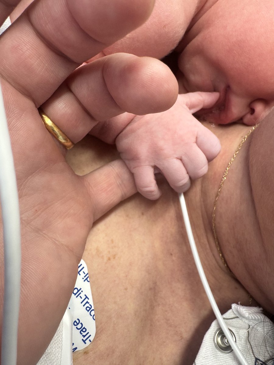 Luke Burgis tweet media