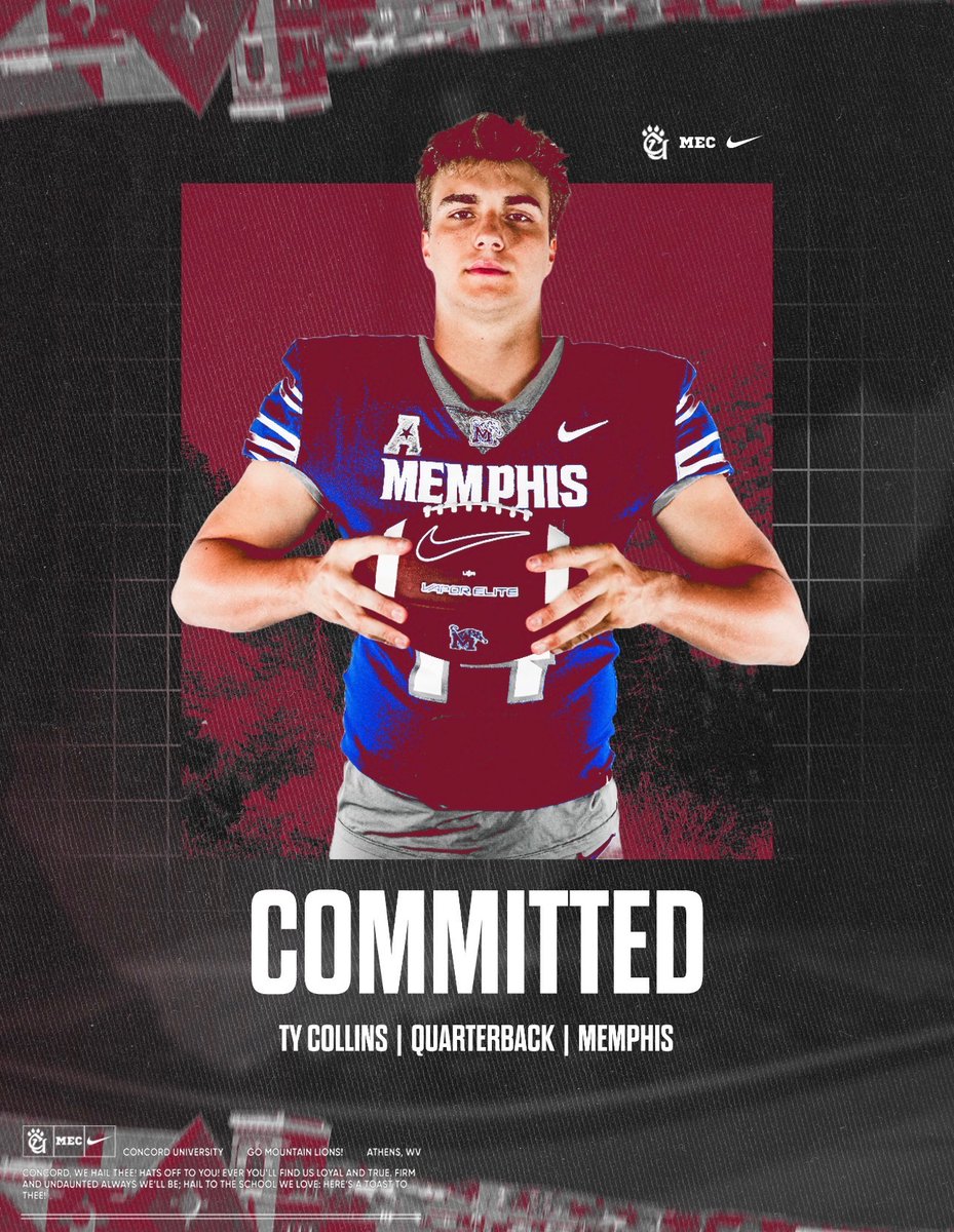 Ty Collins tweet media