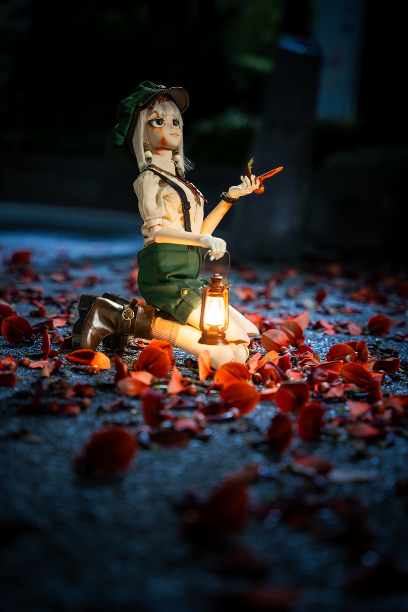 アメリカデイゴの花ですね