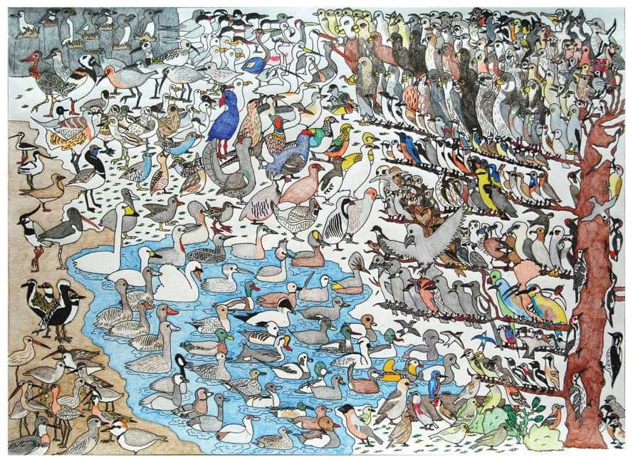 10 настай аутизмтай хүүхдийн зурсан зураг. Зурган дээр бараг 400 шувуу байгаа ба зураач хүү бүх шувууныхаа төрөл зүйлийг заасан латин нэршлийг мэдэхээр барахгүй бүгдийг нь өөрийнхөө өгсөн нэрээр нэг бүрчлэн нэрлэж чаддаг гэнээ👏👇🏻