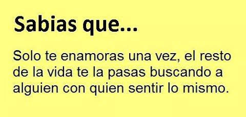 chokolateamargo's tweet image. 