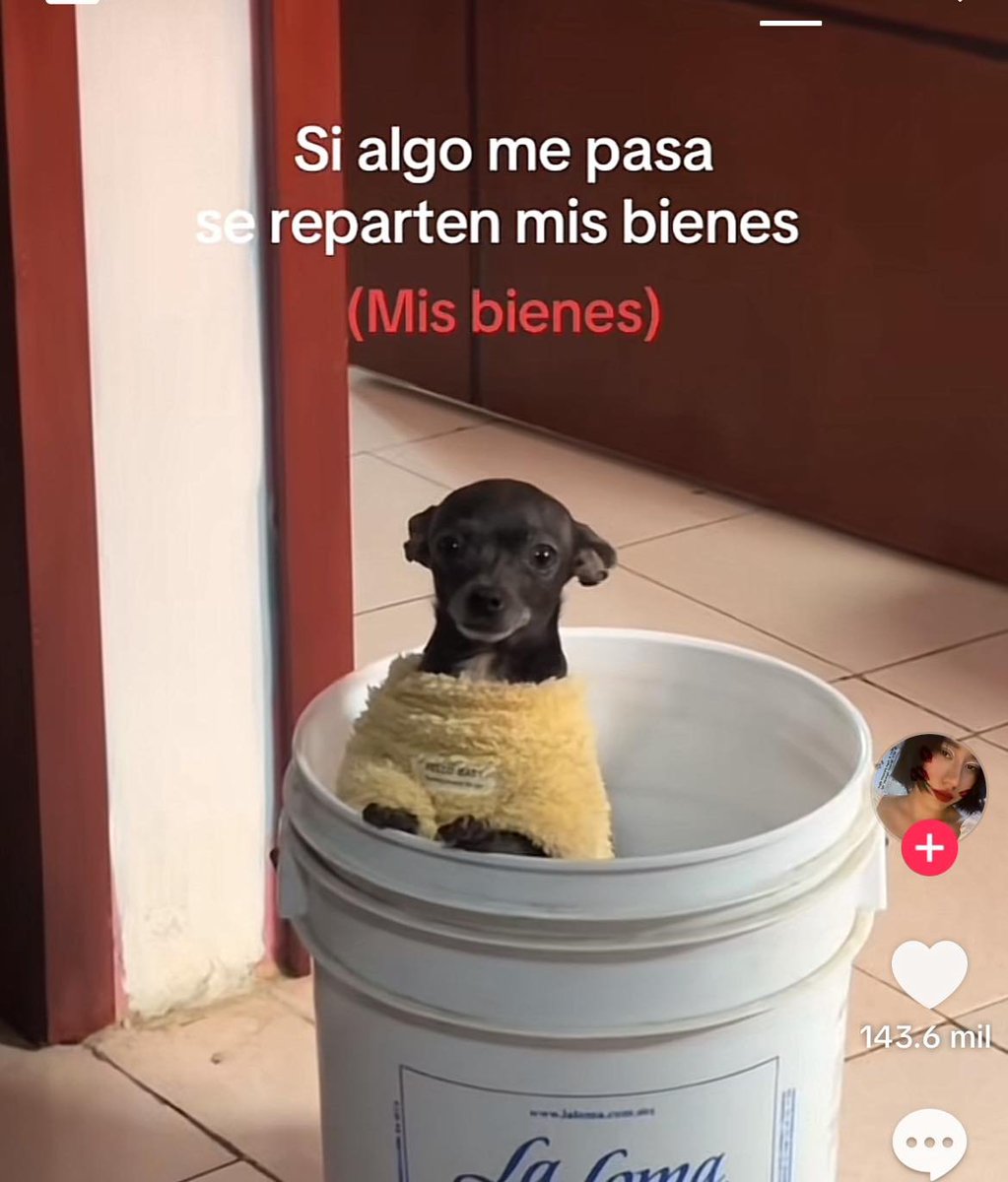 BANDIDOS (@bandidosfrasess) on Twitter photo 