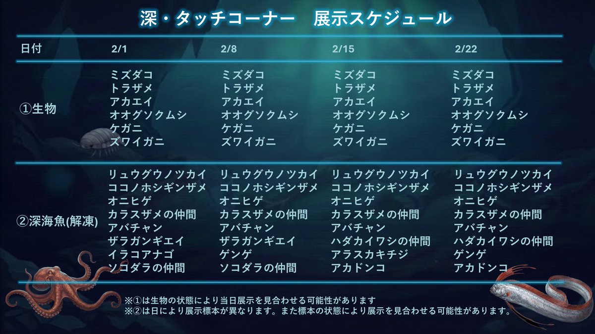 新イベントを開催いたします！ その名も、深・タッチコーナー！ 2月の