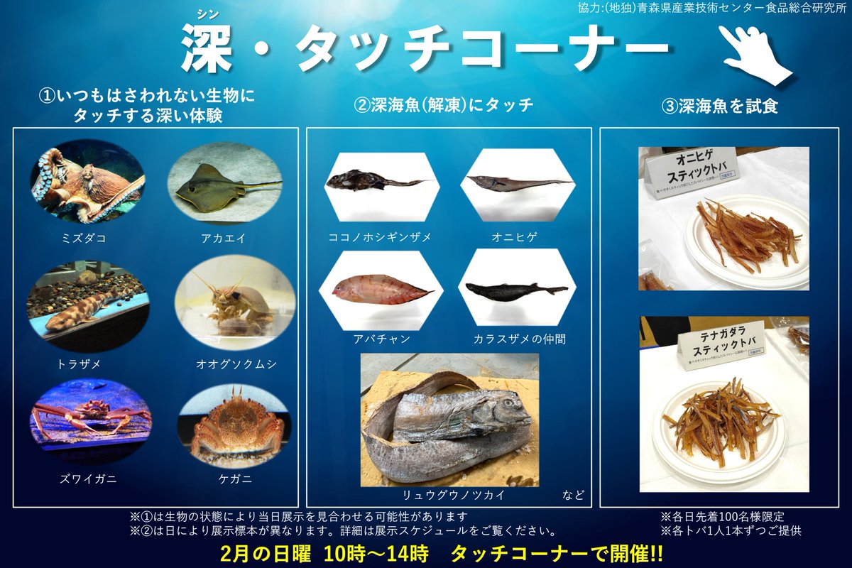 新イベントを開催いたします！ その名も、深・タッチコーナー！ 2月の