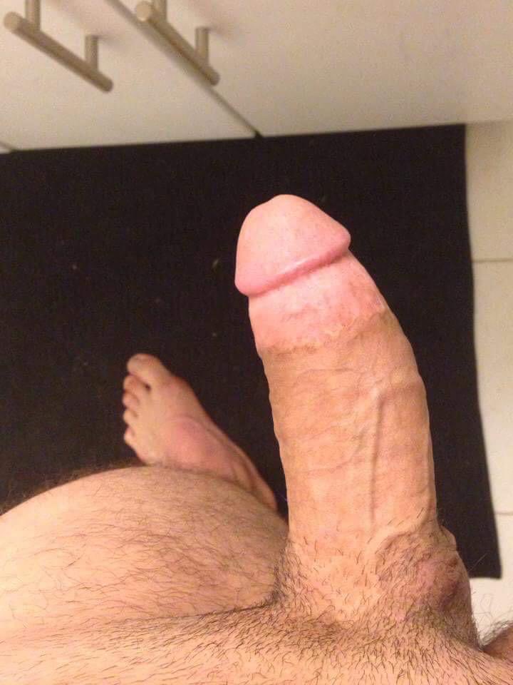 TopGbreeds🐻 tweet media