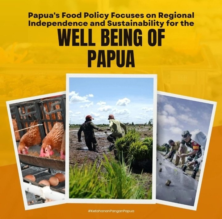Ririn_Rizky's tweet photo. Under President Prabowo’s vision, infrastructure is not just about roads and bridges, it connects people, opens opportunities, strengthens food security, and builds shared prosperity for all Papuans.
#PrabowoForPapua #BuildingPapua #InfrastructureForAll #Papua https://t.co/FHrnfyYg4p