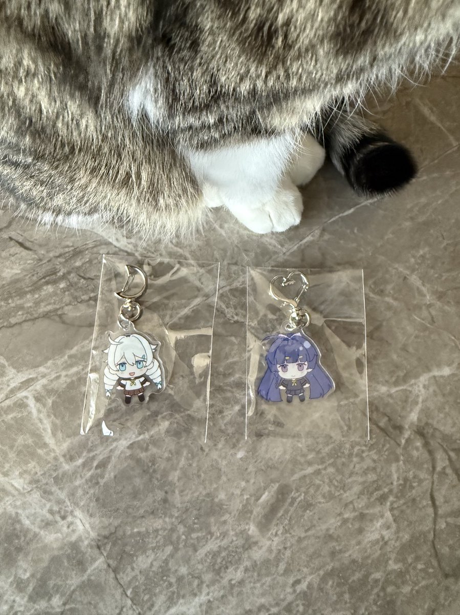 nanika_suruyo's tweet photo. キア芽衣アクキー届きました‼️ https://t.co/NoJXTvwChT