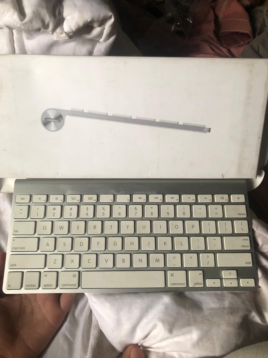 ayin👩‍⚖️ tweet media