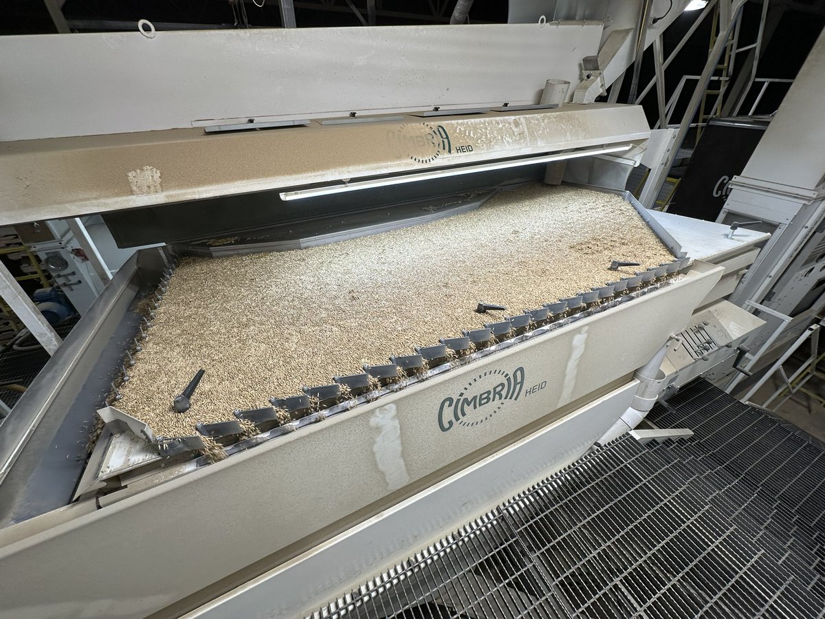 Cleaning our forage oats