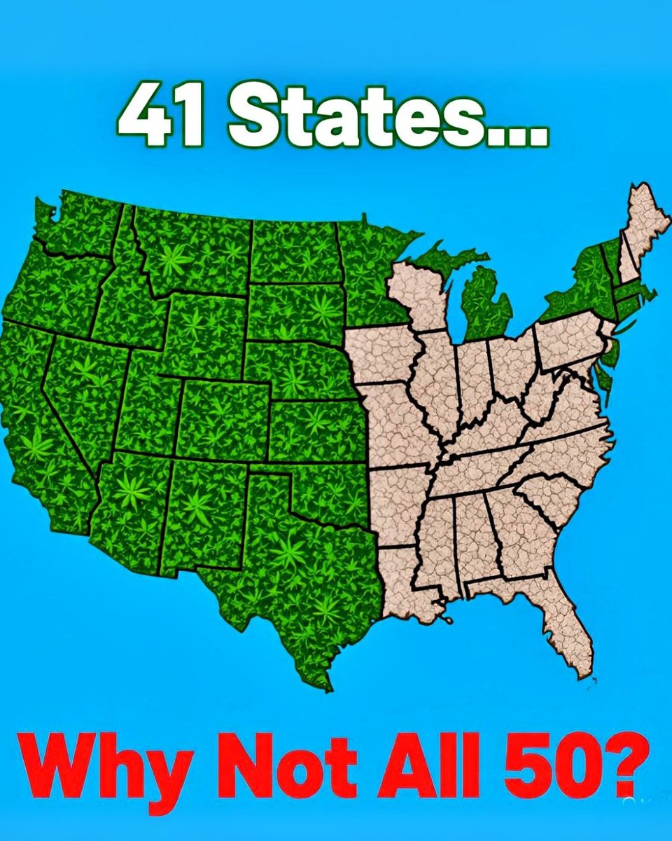 Cannabis_Moment's tweet photo. Seeing so much green on the map is awesome, but those dry patches still feel wrong. Every state deserves to bloom. Let's make sure the whole country can enjoy the good vibes and fair access. The people are ready for it. #CannabisFreedom #ScienceOverStigma #ReformCannabisLaw https://t.co/Q1D4d8MbGs