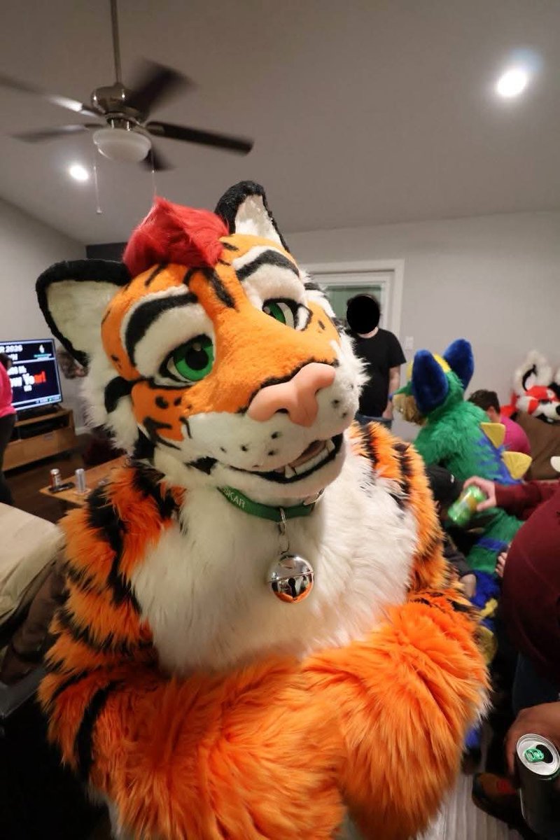 VeskarTiger's tweet photo. So now that it's after New Years, what are your resolutions? #FursuitFriday

📸: @Skyy_Husky https://t.co/CmAliFhJmI