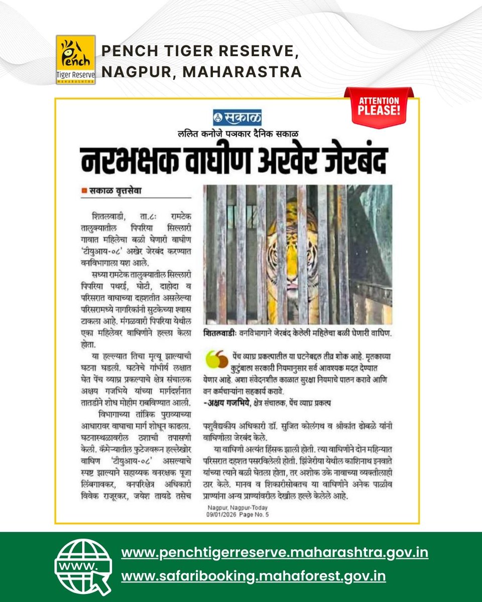 MahaPenchTiger's tweet photo. नरभक्षक वाघिण अखेर जेरबंद 🐅
पेंच व्याघ्र प्रकल्पातील नागरिकांच्या सुरक्षिततेसाठी वनविभागाने तत्काळ कारवाई करत वाघिणीला सुरक्षितरीत्या जेरबंद केले.

#PenchTigerReserve #WildlifeProtection #ForestDepartment #HumanWildlifeConflict #Nagpur https://t.co/69UyEeUDOT