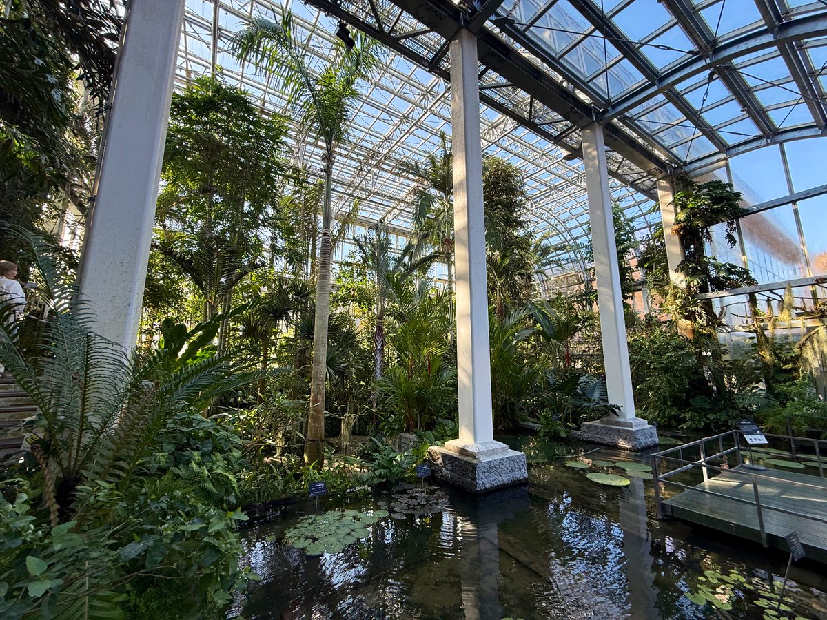 高知県に来ました。 #牧野植物園