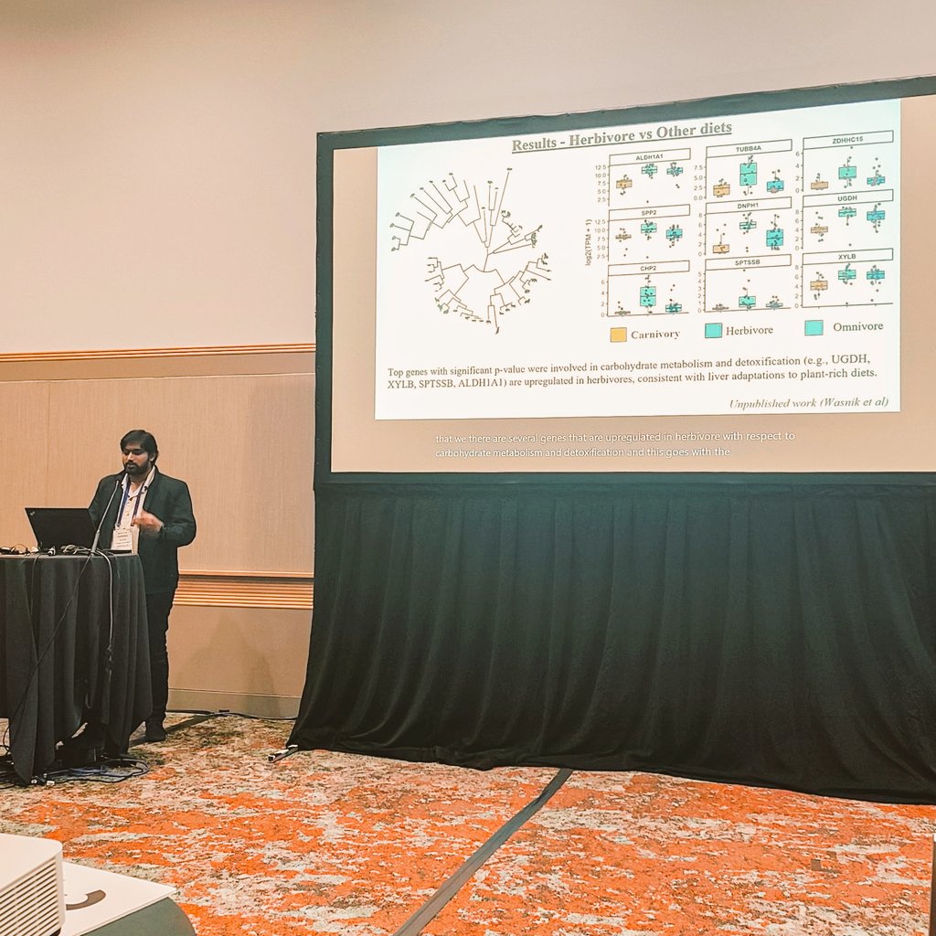 harshalwasnik74's tweet photo. I recently gave a talk titled - "Fine-Scale Trophic Specialization Drives Convergent Gene Expression Patterns in Mammalian Transcriptomes" at the @SICB_ conference.
#SICB #SICB2026 #Transcriptomics #Genetics https://t.co/JUaNoKag37