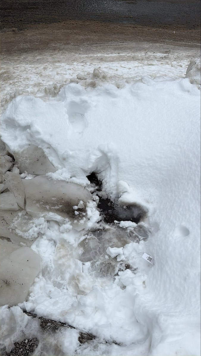 ba_bybi159's tweet image. 제가 삿포로의 미코로 근처에서 휴대폰을 주웠는데, 그것은 한국 여성의 것이었습니다. 이 게시글을 보시길 바랍니다.
Found a Korean mobile phone near Togorodori in Sapporo, Hokkaido.
在札幌狸小路附近捡了一部韩国女孩的手机。希望你能看到 然后给到你